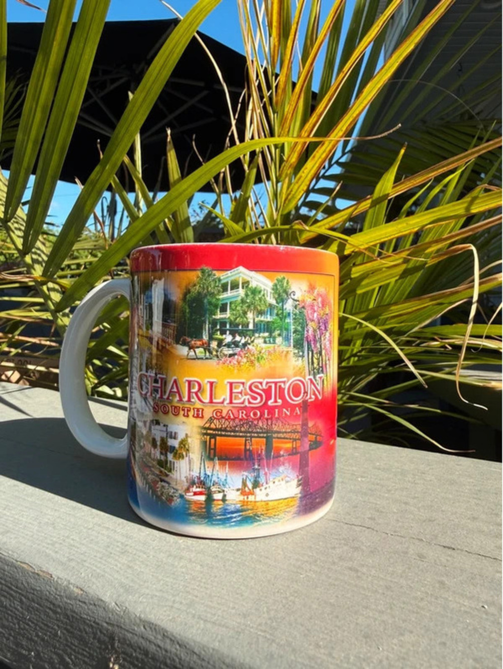 Charleston, SC mug